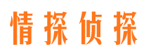 开县情探私家侦探公司